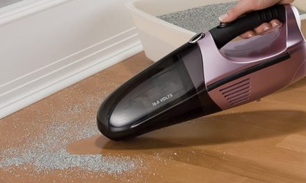 Best Dustbusters Reviews  2023