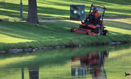 Best Riding Lawn Mowers Reviews 2023