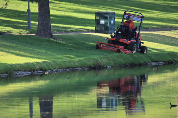 BEST RIDING LAWN MOWERS