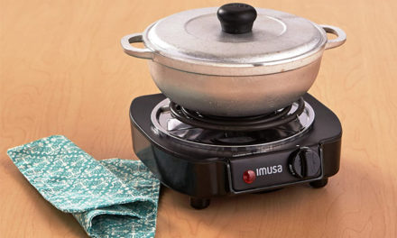 Best Electric Burners Reviews 2023