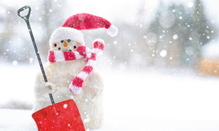Best Snow Shovels Reviews 2023