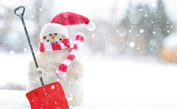 Best Snow Shovels Reviews 2023