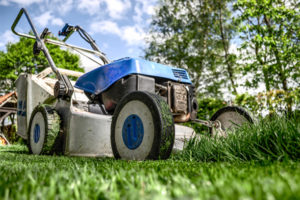 Best Self-Propelled Lawn Mowers