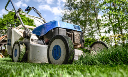 Best Self-Propelled Lawn Mowers Reviews 2024