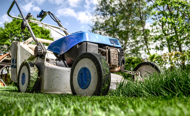 Best Self-Propelled Lawn Mowers Reviews 2021