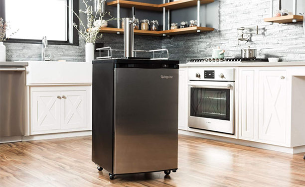 Best Kegerators Reviews 2023