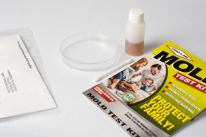 Best Mold Test Kits Reviews