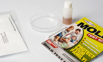 Best Mold Test Kits Reviews 2022
