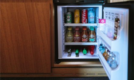 Best Mini Fridges Reviews 2023
