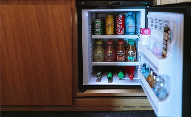 Best Mini Fridges Reviews 2023