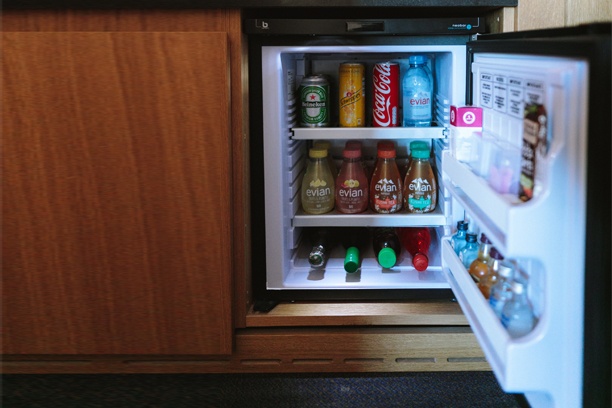 Best Mini Fridges