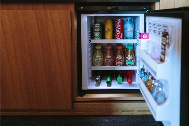 Best Mini Fridges