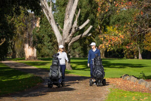 Golf-Push-Carts